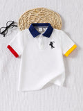 Boys' Color Block Embroidered Polo