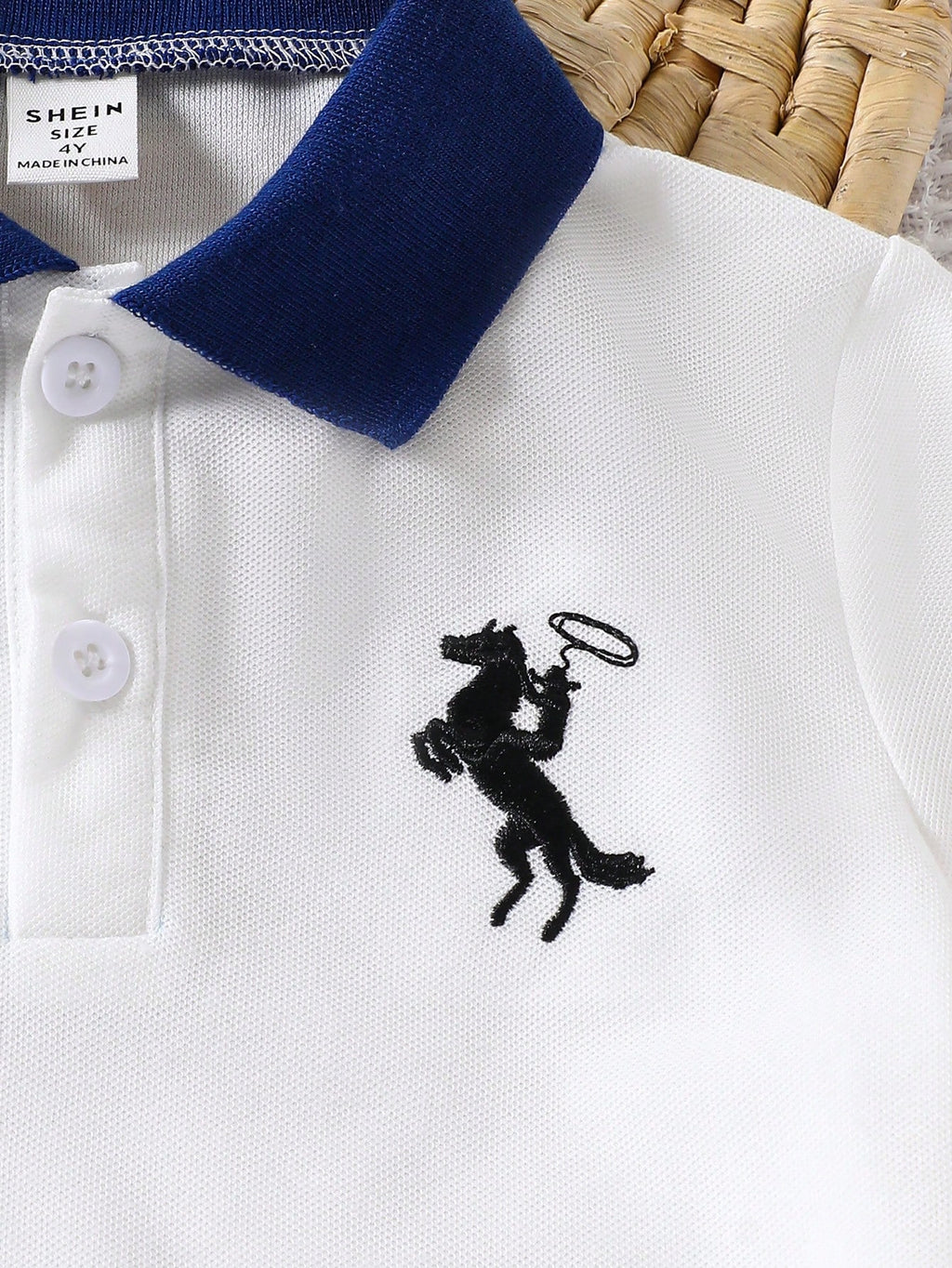 Boys' Color Block Embroidered Polo