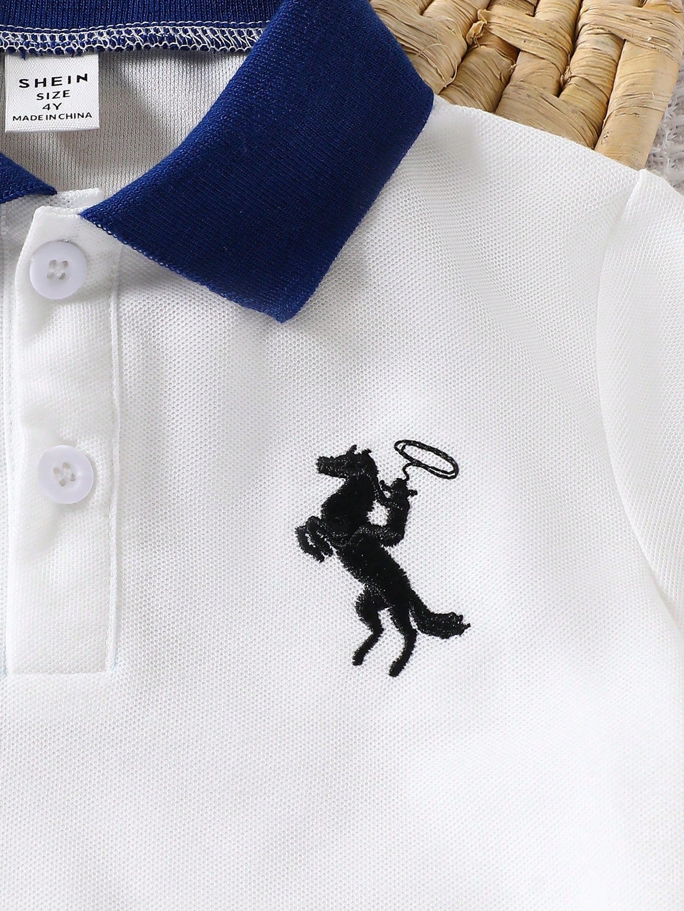 Boys' Color Block Embroidered Polo