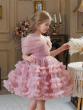 Young Girl Glitter Puff Mesh Floral Print Ball Dress